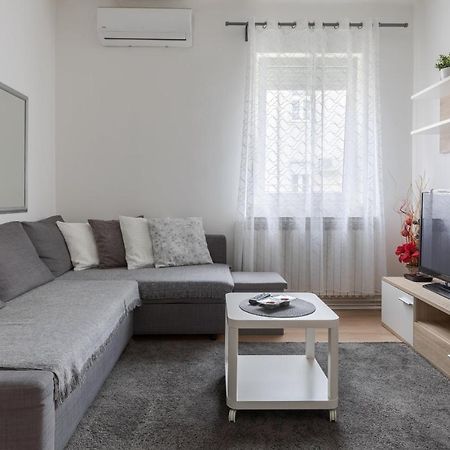 Lisinski Apartment With Private Parking ザグレブ エクステリア 写真