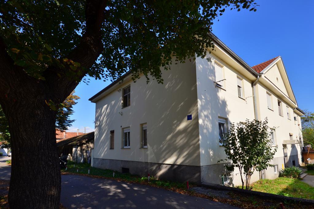 Lisinski Apartment With Private Parking ザグレブ 部屋 写真