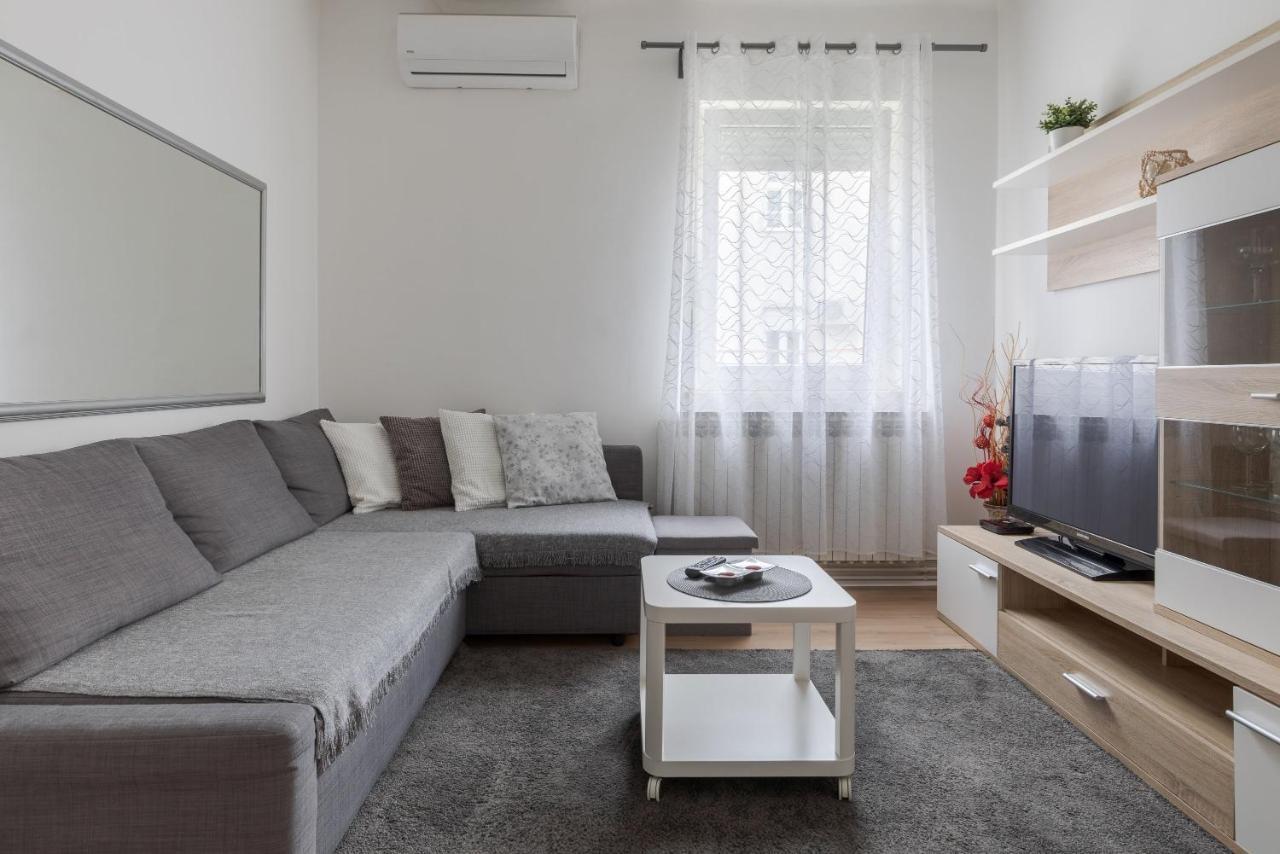 Lisinski Apartment With Private Parking ザグレブ エクステリア 写真
